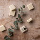 Shampoo&eucalyptus