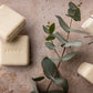 Shampoo&eucalyptus